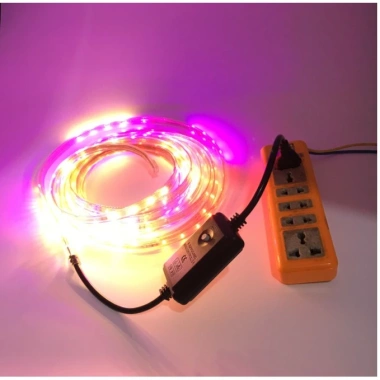 Dây LED 50M 2.835 220V nháy đuổi đa màu - Siêu đẹp, tặng nguồn, có video thực - Giá chỉ 60.000₫