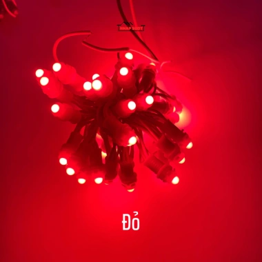 Dây LED đúc cuốn cây F5 12V phi 5 đế 8 - 3m, 50 mắt đủ màu, trang trí ngoài trời, gắn biển quảng cáo - Giá ưu đãi 34.180₫