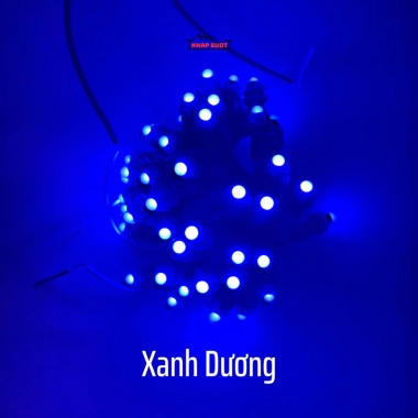 Dây LED đúc cuốn cây F5 12V phi 5 đế 8 - 3m, 50 mắt đủ màu, trang trí ngoài trời, gắn biển quảng cáo - Giá ưu đãi 34.180₫ 7 Dây LED đúc cuốn cây F5 12V phi 5 đế 8 - 3m, 50 mắt đủ màu, trang trí ngoài trời, gắn biển quảng cáo - Giá ưu đãi 34.180₫ 7