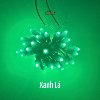 Dây LED đúc cuốn cây F5 12V phi 5 đế 8 - 3m, 50 mắt đủ màu, trang trí ngoài trời, gắn biển quảng cáo - Giá ưu đãi 34.180₫ 8 Dây LED đúc cuốn cây F5 12V phi 5 đế 8 - 3m, 50 mắt đủ màu, trang trí ngoài trời, gắn biển quảng cáo - Giá ưu đãi 34.180₫ 8