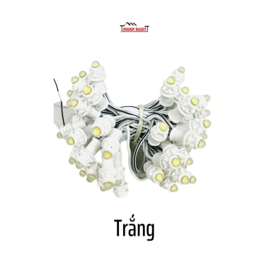 Dây LED đúc cuốn cây F5 12V phi 5 đế 8 - 3m, 50 mắt đủ màu, trang trí ngoài trời, gắn biển quảng cáo - Giá ưu đãi 34.180₫ 10 Dây LED đúc cuốn cây F5 12V phi 5 đế 8 - 3m, 50 mắt đủ màu, trang trí ngoài trời, gắn biển quảng cáo - Giá ưu đãi 34.180₫ 10