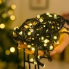 Dây LED Nháy Kim Cương 7 Màu 35m – Đèn Chớp Chống Nước, Bền, Trang Trí Noel Giá 32k 3