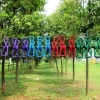 Dây phơi đồ 12 kẹp chất liệu bền, giá rẻ 38.000₫ - Dễ lắp, tiết kiệm không gian 5