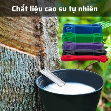 Dây Powerband Kháng Lực 5 Cấp Độ Cao Su Tự Nhiên - Gym Yoga Xà Đơn 63.000đ 2