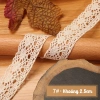 Dây ren trang trí màu trắng ngà 1 mét - Nhiều mẫu giá rẻ Tada Craft 12