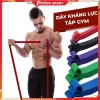 Dây Tập Kháng Lực Powerband B4 Đa Năng - Tập Toàn Thân, Giá 100.000 VND Giảm 20k