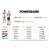 Dây Tập Kháng Lực Powerband B4 Đa Năng - Tập Toàn Thân, Giá 100.000 VND Giảm 20k 9