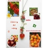 Dây treo điện thoại, túi xách, máy ảnh charm cam quýt – Keyring thời trang, giảm 20% chỉ 33.800₫ 18