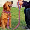 Dây Xích Chó Nylon Dày 1.3m Chống Cháy Nổ, Dây Tám 10-60kg, Độ bền cao, Giá ưu đãi 284.122₫ 2