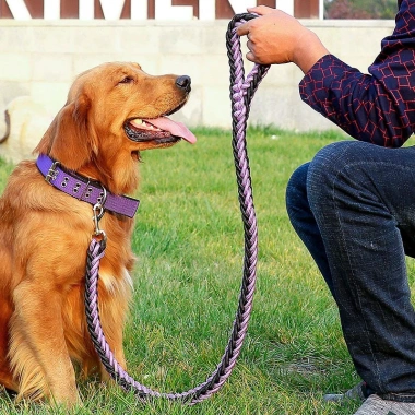 Dây Xích Chó Nylon Dày 1.3m Chống Cháy Nổ, Dây Tám 10-60kg, Độ bền cao, Giá ưu đãi 284.122₫ 3 Dây Xích Chó Nylon Dày 1.3m Chống Cháy Nổ, Dây Tám 10-60kg, Độ bền cao, Giá ưu đãi 284.122₫ 3