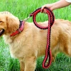 Dây Xích Chó Nylon Dày 1.3m Chống Cháy Nổ, Dây Tám 10-60kg, Độ bền cao, Giá ưu đãi 284.122₫ 4