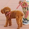 Dây Xích Thú Cưng Chống Mất, Không Tắc Bàn Tay, Phản Quang, Đeo Ngực Cho Chó Nhỏ Teddy, Poodle, Corgi 2