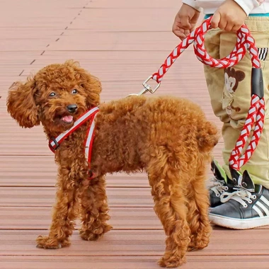 Dây Xích Thú Cưng Chống Mất, Không Tắc Bàn Tay, Phản Quang, Đeo Ngực Cho Chó Nhỏ Teddy, Poodle, Corgi 2