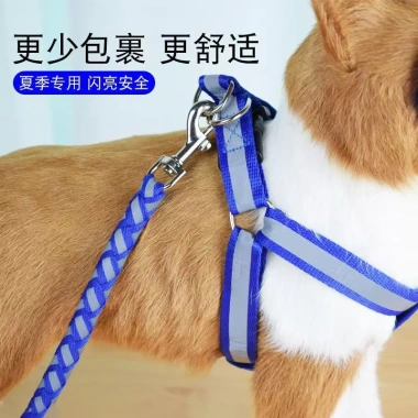 Dây Xích Thú Cưng Chống Mất, Không Tắc Bàn Tay, Phản Quang, Đeo Ngực Cho Chó Nhỏ Teddy, Poodle, Corgi 4