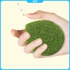 DCP 3 miếng phồng mặt mềm mại, làm sạch - bọt biển vệ sinh mặt, chỉ 31.000 VND 6