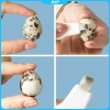 DCP bộ 3 cái làm sạch răng trẻ em Nano tẩy bọt, loại bỏ cao răng và mảng bám 5