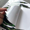 Đề can mắt khủng long Vinyl chống thấm nước, chống trầy xước cho ô tô, kính gió, xe máy 8