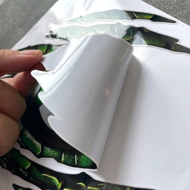 Đề can mắt khủng long Vinyl chống thấm nước, chống trầy xước cho ô tô, kính gió, xe máy 8