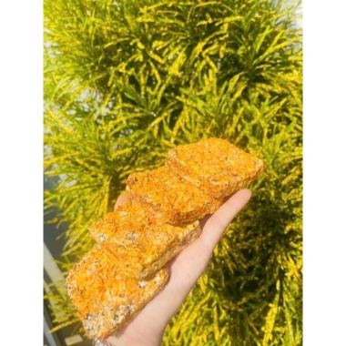 Đế Đông Trùng Hạ Thảo 1kg - Tăng Cường Sinh Lực, Hỗ Trợ Miễn Dịch, Giá Ưu Đãi 72.654 VND 4 Đế Đông Trùng Hạ Thảo 1kg - Tăng Cường Sinh Lực, Hỗ Trợ Miễn Dịch, Giá Ưu Đãi 72.654 VND 4