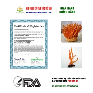 Đế Khô Đông Trùng Hạ Thảo – Sản phẩm Viện Nghiên Cứu Thảo Dược VN, Giá 200.000đ, Hỗ trợ miễn dịch, giảm mệt mỏi 3