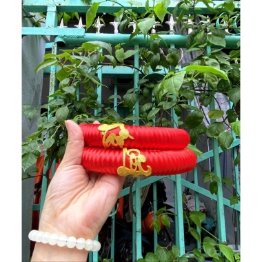 Đế Tài Lộc Chưng Dưa Dừa Bưởi - Cặp 2 chiếc Trang Trí Tết 2.026 Giá 18.999 VNĐ
