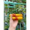 Đế Tài Lộc Chưng Dưa Dừa Bưởi - Cặp 2 chiếc Trang Trí Tết 2.026 Giá 18.999 VNĐ 7