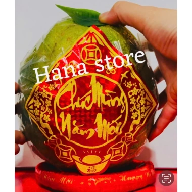 Decal dán bưởi, dừa, dưa hấu 10cm - Combo 2 miếng + 5 miếng Trái cây chưng Tết, Giá ưu đãi 25.000₫