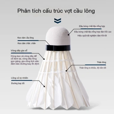 DELI AGNITE F2.202S Cầu Lông Lông Vũ Tự Nhiên, Đầu Bóng Hợp Chất 12 Quả - 339.308₫ 4 DELI AGNITE F2.202S Cầu Lông Lông Vũ Tự Nhiên, Đầu Bóng Hợp Chất 12 Quả - 339.308₫ 4