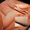 Đệm bốn mùa SPARKLEFLUX thông gió, da ô tô mềm mại, chống trượt Cotton đa năng - Thoải mái du lịch, giá 221.832₫ 3