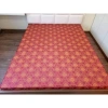 Đệm Bông Ép Gấp Nhanh Đa Năng 5-9cm Kháng Khuẩn Giá 600k Gia Đình & Sinh Viên 2
