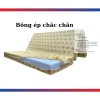 Đệm Bông Ép Gấp Nhanh Đa Năng 5-9cm Kháng Khuẩn Giá 600k Gia Đình & Sinh Viên 3