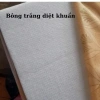 Đệm Bông Ép Gấp Nhanh Đa Năng 5-9cm Kháng Khuẩn Giá 600k Gia Đình & Sinh Viên 7