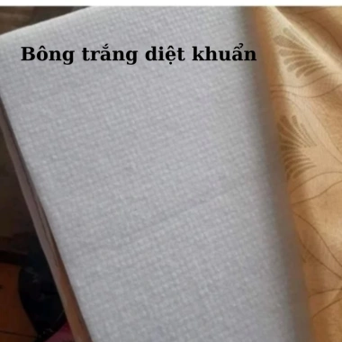 Đệm Bông Ép Gấp Nhanh Đa Năng 5-9cm Kháng Khuẩn Giá 600k Gia Đình & Sinh Viên