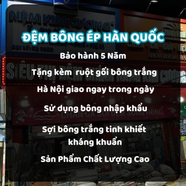 Đệm bông ép Hàn Quốc giá rẻ, giao nhanh, free ship Hà Nội, tặng gối 408.000₫ 2