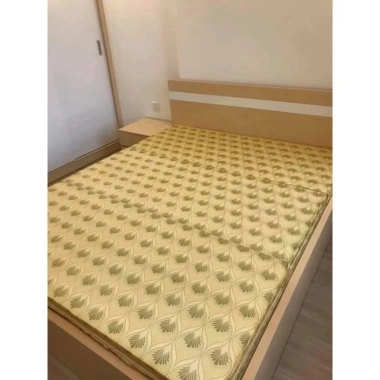 Đệm bông ép Hàn Quốc giá rẻ, giao nhanh, free ship Hà Nội, tặng gối 408.000₫ 7