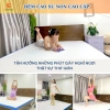 Đệm Cao Su Non GoldCat 5-10cm - Đệm Mát, Nâng Đỡ Vượt Trội, Giá Sale 1.5 Triệu 2