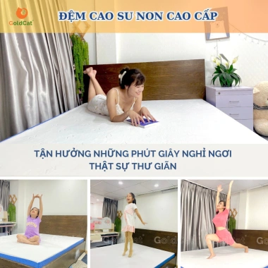 Đệm Cao Su Non GoldCat 5-10cm - Đệm Mát, Nâng Đỡ Vượt Trội, Giá Sale 1.5 Triệu