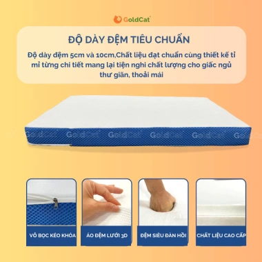 Đệm Cao Su Non GoldCat 5-10cm - Đệm Mát, Nâng Đỡ Vượt Trội, Giá Sale 1.5 Triệu