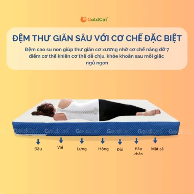 Đệm Cao Su Non GoldCat 5-10cm - Đệm Mát, Nâng Đỡ Vượt Trội, Giá Sale 1.5 Triệu