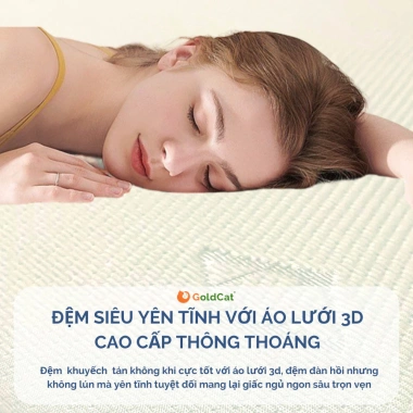 Đệm Cao Su Non GoldCat 5-10cm - Đệm Mát, Nâng Đỡ Vượt Trội, Giá Sale 1.5 Triệu