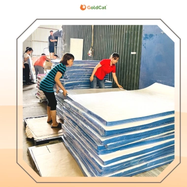 Đệm Cao Su Non GoldCat 5-10cm - Đệm Mát, Nâng Đỡ Vượt Trội, Giá Sale 1.5 Triệu 8 Đệm Cao Su Non GoldCat 5-10cm - Đệm Mát, Nâng Đỡ Vượt Trội, Giá Sale 1.5 Triệu 8