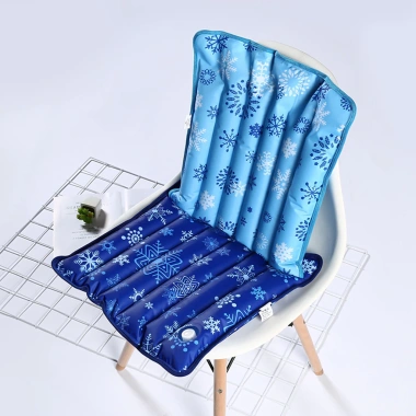 Đệm đá mát PVC đầy nước, gối đá chắc chắn, thích hợp cho trường học, văn phòng và du lịch - giá 94.608 đồng