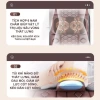 đệm massage toàn thân 18 viên đá ngọc bích - quà tặng 20/10 chỉ 1.199.000 5
