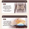 Đệm Massage Toàn Thân DELAX TMS01 Đa Năng Vai Cổ Eo Lưng Bắp Chân - Giá 1.799.000₫ 5