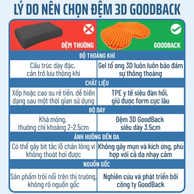 Đệm Ngồi Gel Tổ Ong Goodback – Thoáng khí, giảm đau mỏi lưng, lót ghế văn phòng, xe hơi