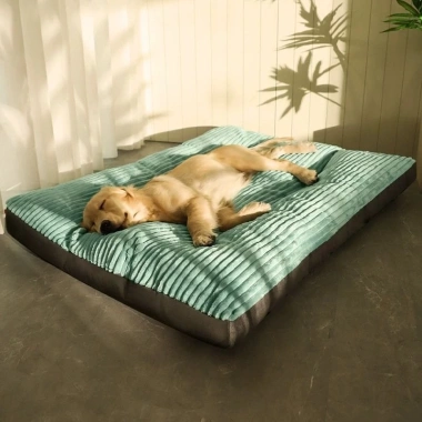 Đệm Ngủ Thú Cưng 120cm Siêu Mềm Tháo Rời Giặt Được – Sofa 5‑50kg Mèo & Chó Lớn 563k