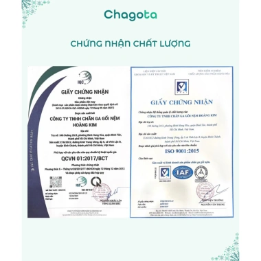 Đệm Topper Silk Ice Chagota - Chần Gòn, Gấp Gọn, Văn Phòng & Du Lịch, 341.000₫ 8