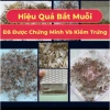 Đèn bắt muỗi thông minh loại to có đèn ngủ - Máy diệt côn trùng không ồn, giảm 95k 7