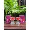 Đèn cầy nến bơ sen lưu ly 12h cháy liên tục - Đỏ & Vàng, cặp giá ưu đãi 110k 2
