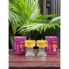 Đèn cầy nến bơ sen lưu ly 12h cháy liên tục - Đỏ & Vàng, cặp giá ưu đãi 110k 3